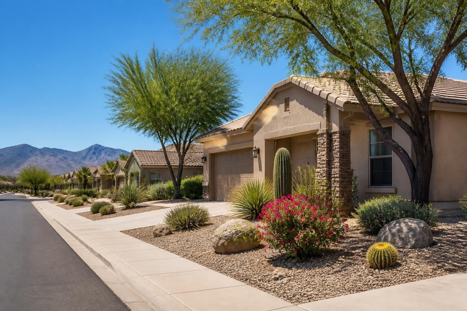 Goodyear streetscape with landscaped yards and sunny skies.