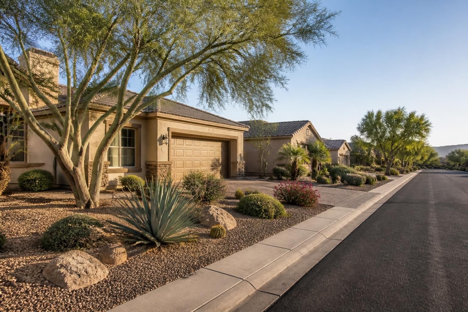 Peoria residential street with manicured desert-friendly landscaping.